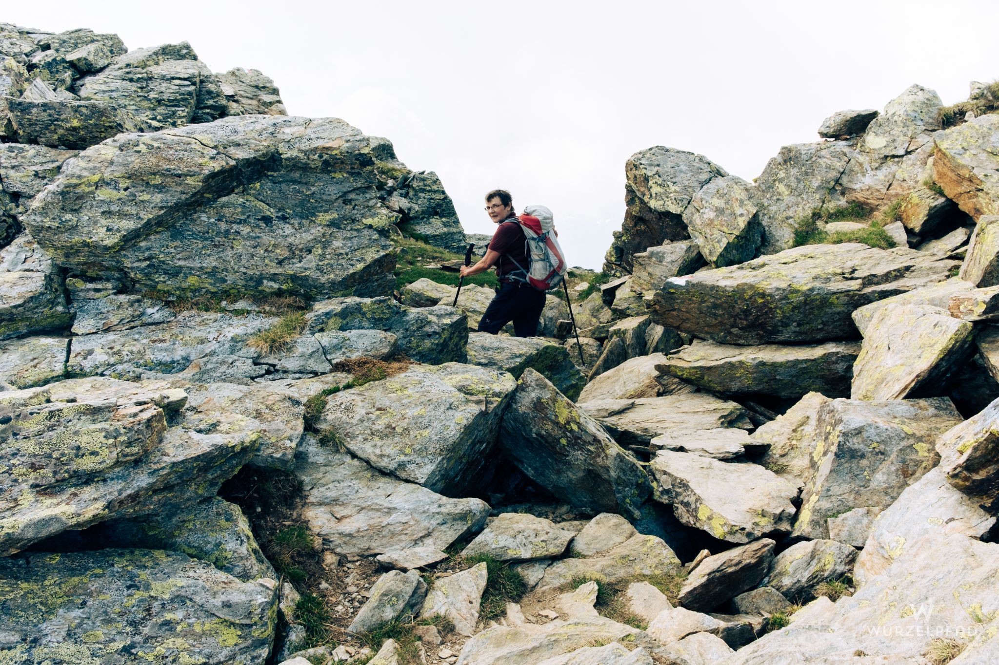 Gipfelrücken am Hohen Dieb